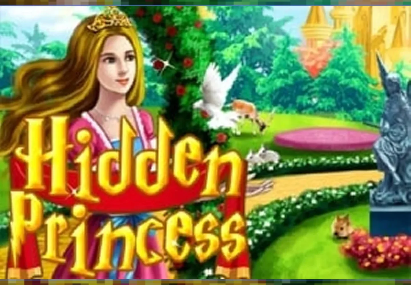Hidden Princess