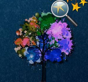 Play Forest Hidden StarsOnline