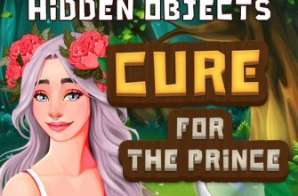 Hidden Objects Cure For The Prince