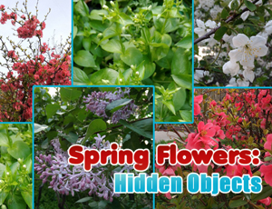 Play Spring Flowers Hidden ObjectsOnline