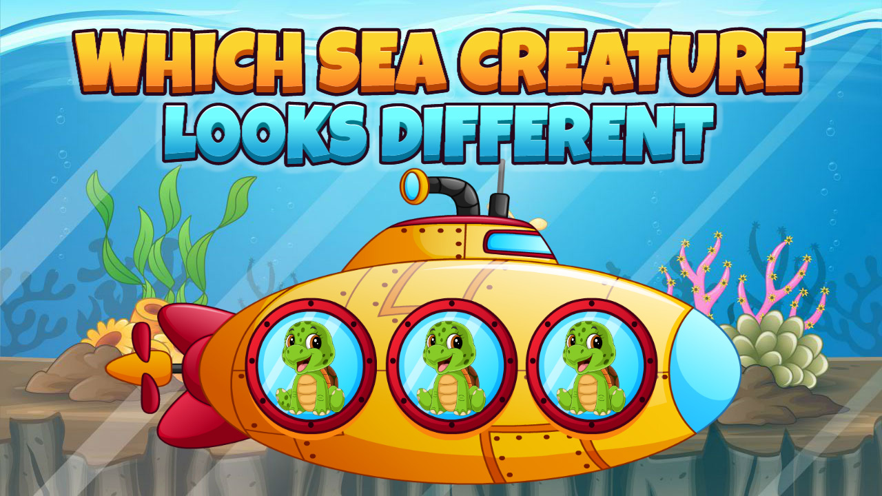 Play Which Sea Creature Looks DifferentOnline